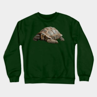 Giant Tortoise Crewneck Sweatshirt